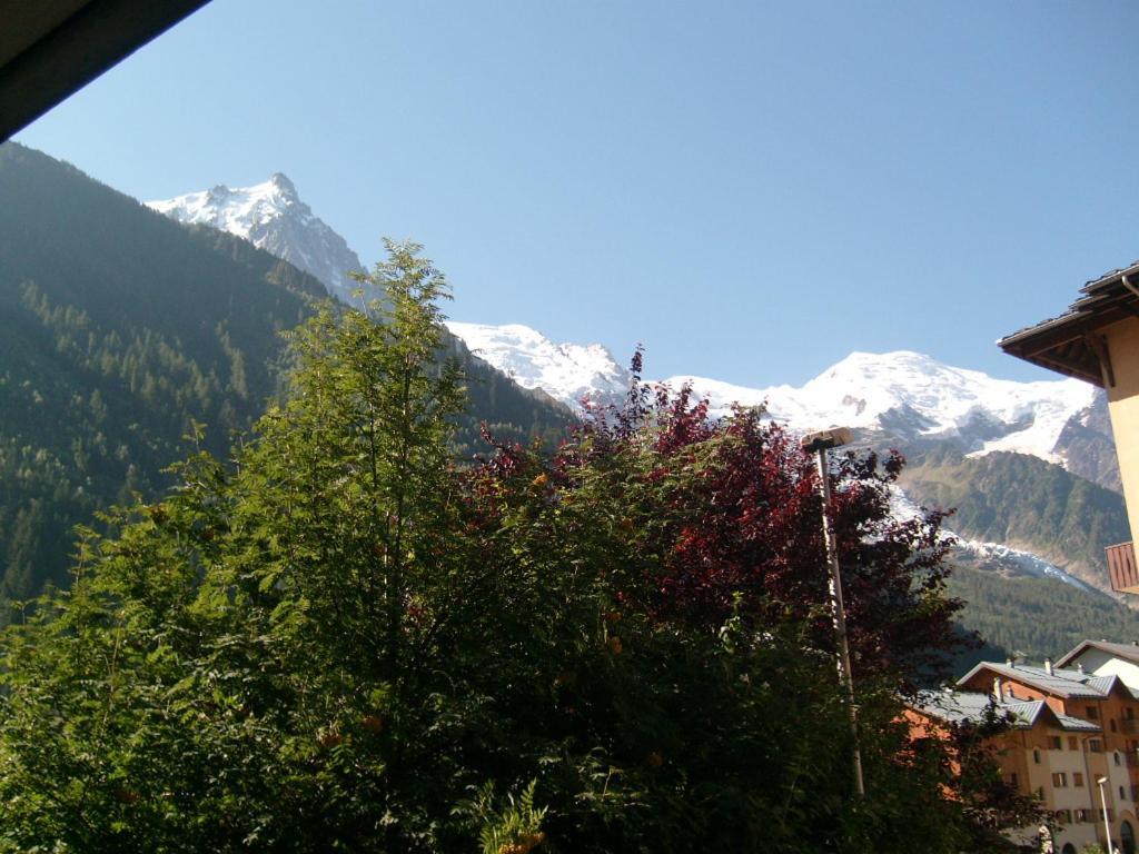 Appartement T2 Chamonix Centre Balcon Vue Mont Blanc Exteriér fotografie
